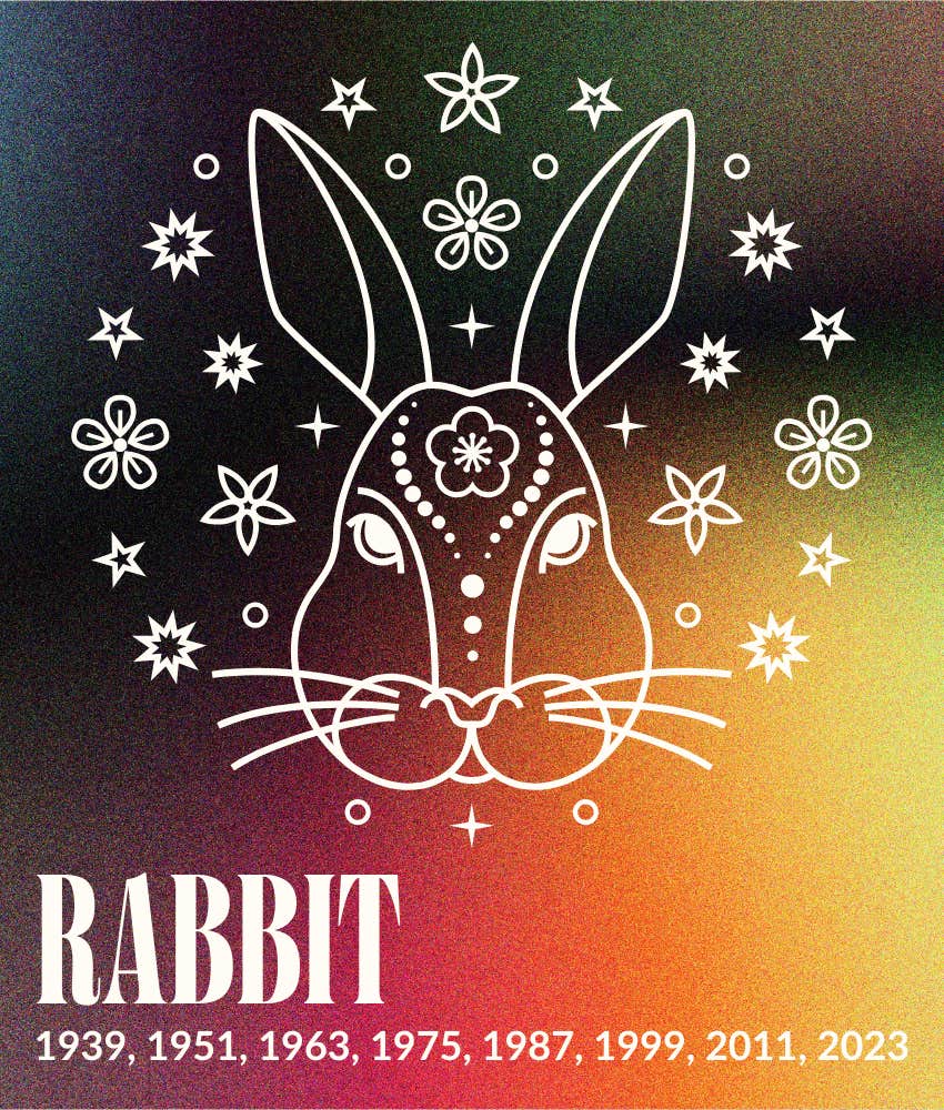 rabbit chinese zodiac signs attracting financial success march 3 - 9, 2025
